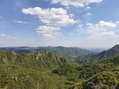 -大岭沟猕猴桃谷风景区