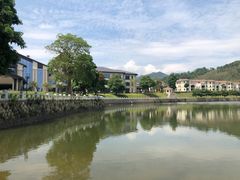 -九龙江国家森林公园