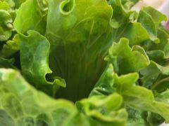 -宴全牛粤来越牛潮汕鲜牛肉火锅(海州万达广场店)