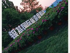 -郑州银基国际旅游度假区