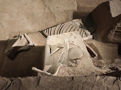 -洛阳周王城天子驾六博物馆