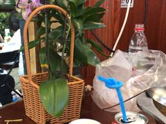 -大理.老字号渝记酸萝卜乌鱼(古城总店)