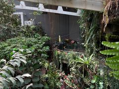 -正佳雨林生态植物园