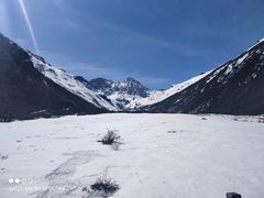 -黄龙山原始森林景区