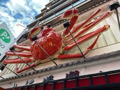 -蟹道乐(道顿堀本店)