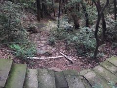 -杭州半山国家森林公园