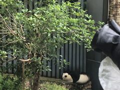 -黔灵山公园