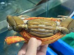 -杨记海鲜楼(三门黑金冠店)
