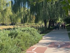 -元大都城垣遗址公园