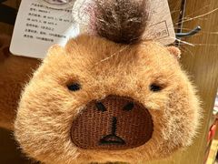 -九木杂物社(中心店)