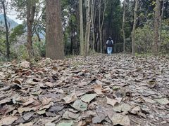 -贵阳市花溪国家城市湿地公园