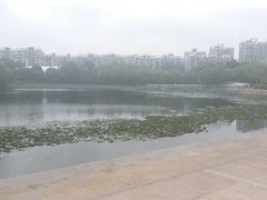 -新江湾城公园