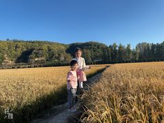 -南泥湾风景区