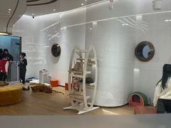 -1013 PET SHOP精品宠物商店(丁香店)