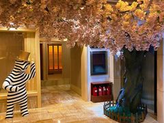 -碧中海汤泉汗蒸酒店