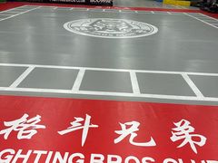 -格斗兄弟搏击健身训练馆(望京店)