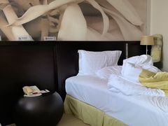 -国家会议中心大酒店