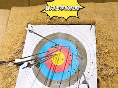 -蓝天射箭馆·专业射箭运动(诚丰广场店)