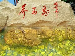 -养马岛旅游度假区