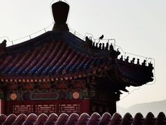 -颐和园