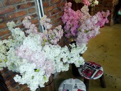 -长藤鬼校(千禧店)
