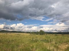 -塞罕坝国家级自然保护区