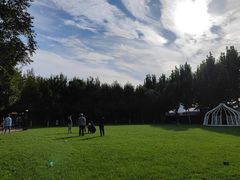 -九十九顶毡房(阜石路店)