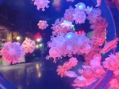 -太平洋海底世界