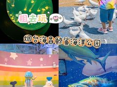 -烟台海昌鲸鲨海洋公园