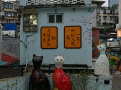 -猫街麻糍哥(思明南路店)
