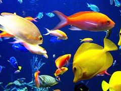 -成都浩海立方海洋公园