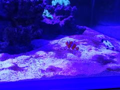 -海合安武汉极地海洋公园