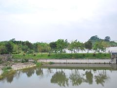 -大湾区中央湿地公园