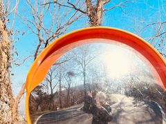 -合肥野生动物园