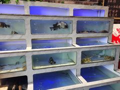 水产区-百年银屏蚝烙·潮汕菜·非遗(乐山店)