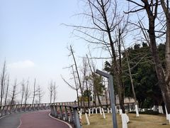 -府河摄影公园
