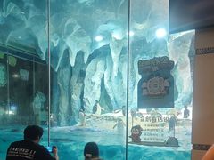 -帝企鹅自助餐厅•儿童岛•真企鹅(长隆企鹅酒店)