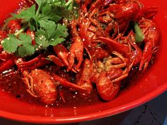 -红辣椒·川菜·火锅(张杨路店)