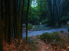 -望江楼公园