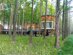 -黄海国家森林公园