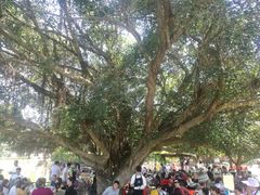 -侯臣咖啡文化村