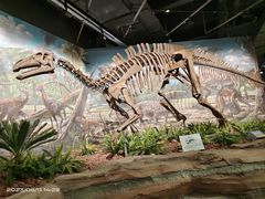 -辽宁古生物博物馆