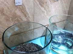 -美乐食街(小南店)