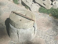 -上海醉白池公园
