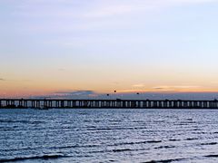 -宝安西湾红树林湿地公园