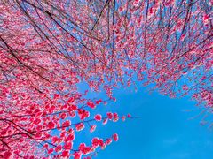 -南京市江宁方山