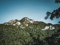 -海南霸王岭国家森林公园