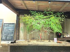 -素描餐厅(灵隐天竺店)