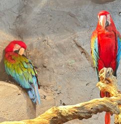 -Zoolung Zoolung动物主题公园(海信广场店)