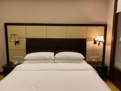 -维也纳国际酒店(深圳新洲店)